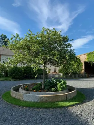 Jardin de l'établissement Le Moulin de la Fosse Soucy 