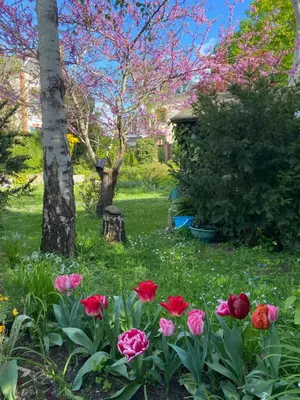 Jardin de l'établissement l'ESCALE