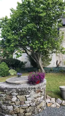 Jardin de l'établissement Maison Tirlibibi