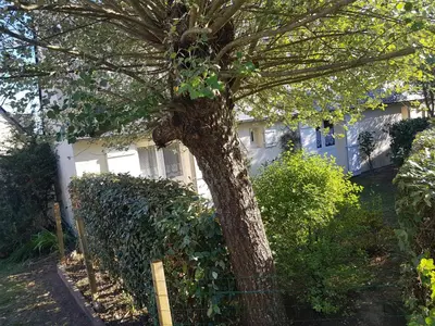 Jardin de l'établissement Maison des dunes L'Echappée Belle - 3 chambres