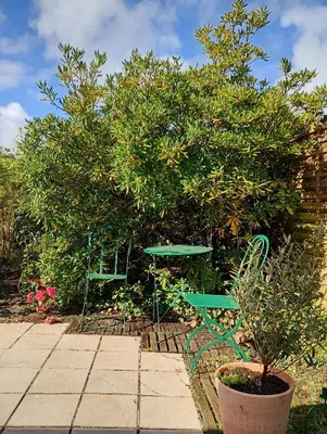 Jardin de l'établissement Cottage with Garden 5mn Beach