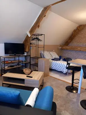 Télévision ou salle de divertissement dans l'établissement Studio dans une longère en pierre à la campagne