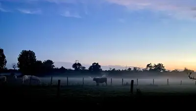 Lever ou coucher de soleil vu de le B&B/chambre d'hôtes ou à proximité