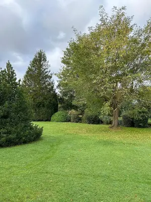 Jardin de l'établissement L'écrin des quatre puits