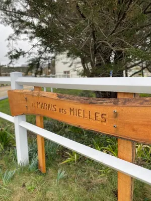 Plan de l'établissement Maison familiale 8 pers, Le Marais des Mielles