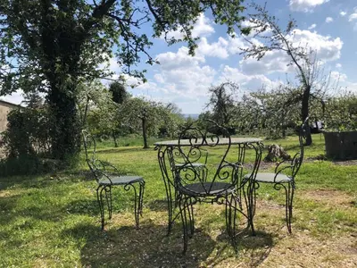 Jardin de l'établissement 224 Rue St Martin