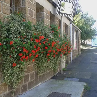Jardin de l'établissement Beautiful village home close to all attractions