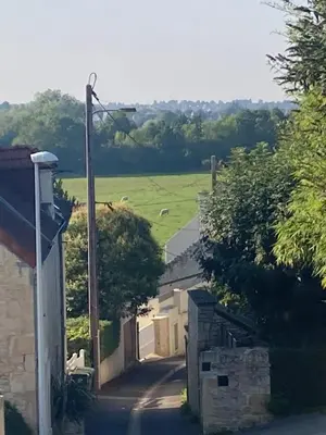 Paysage naturel près de l'appartement