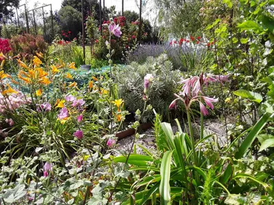 Jardin de l'établissement manoir de la baronnie d'urville