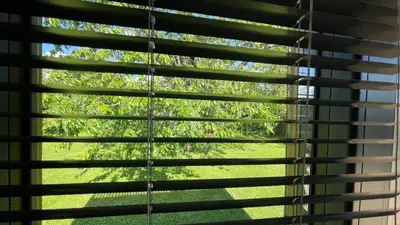 Jardin de l'établissement Greenkub Serenity