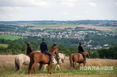Animaux dans la maison d'hôtes ou à proximité