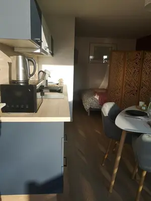 Cuisine ou kitchenette dans l'établissement Studio
