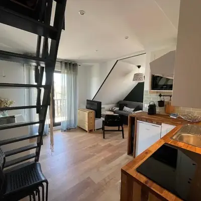 Magnifique appartement avec mezzanine prés Thalasso