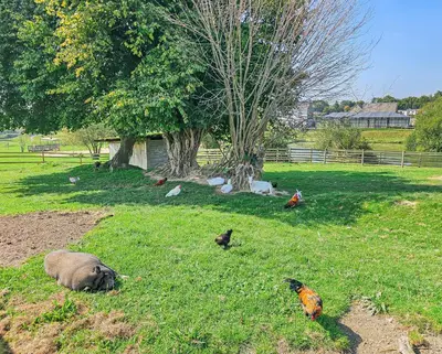 Jardin de l'établissement le Nomatitoz