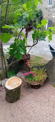 Jardin de l'établissement gite des hautes planches 2 pers en Normandie