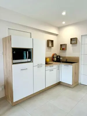 Cuisine ou kitchenette dans l'établissement Studio cosy