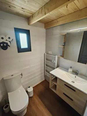 Salle de bains dans l'établissement Tiny House Le Petit Nid du Pré