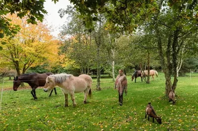 Animaux dans la maison de vacances ou à proximité