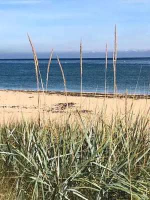 Paysage naturel près de la maison d'hôtes