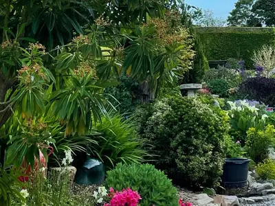 Jardin de l'établissement La Lande