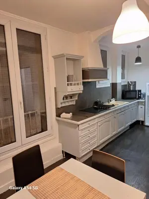 Cuisine ou kitchenette dans l'établissement appart hyper centre confortable