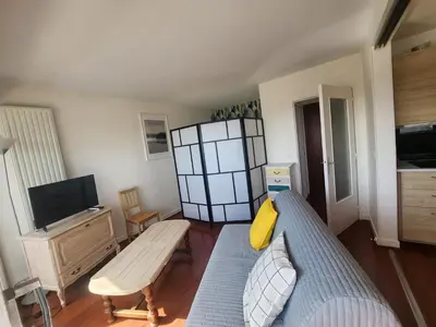 Télévision ou salle de divertissement dans l'établissement Grand studio 40m² avec coin nuit, vue mer et port, parking privé - FR-1-746-29