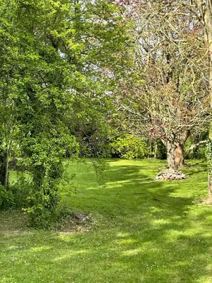 Jardin de l'établissement Gîte à la campagne