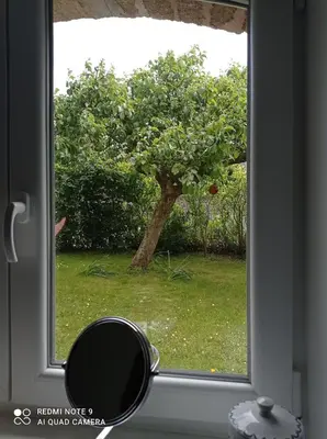 Jardin de l'établissement Cancale - Dans le Bourg