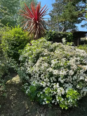 Jardin de l'établissement Le Grand Air