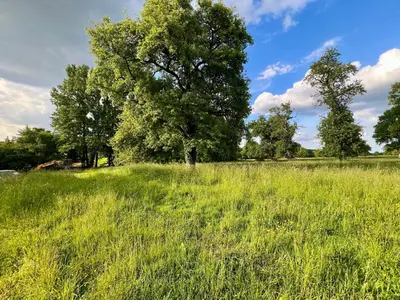Paysage naturel près de la maison de vacances
