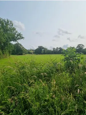 Paysage naturel près de la maison de vacances