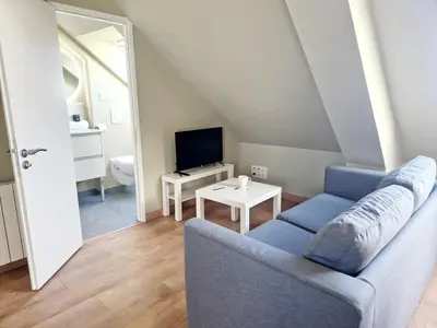 Télévision ou salle de divertissement dans l'établissement L'Ermitage Scandi