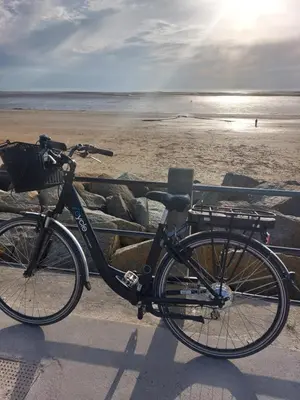 Vélo sur le terrain de l'établissement Gite Bourg HYENVILLE 2 etoiles ou dans les environs