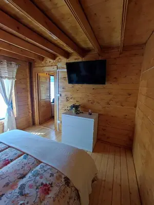 Télévision ou salle de divertissement dans l'établissement Le chalet de Joyce spa et piscine