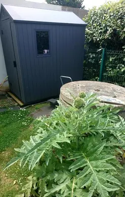 Plan de l'établissement La Salicorne hébergement insolite