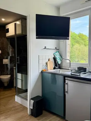 Cuisine ou kitchenette dans l'établissement Studette Cosy