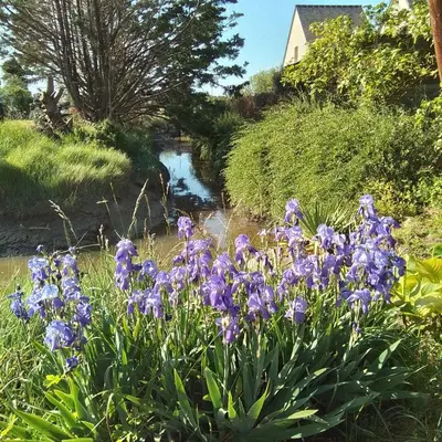 Jardin de l'établissement La Maison Du Soleil Couchant - avec jardin - à 250 m de la plage - Véranda