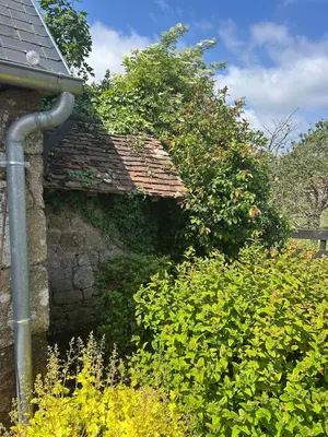 Jardin de l'établissement Maison de Champeaux