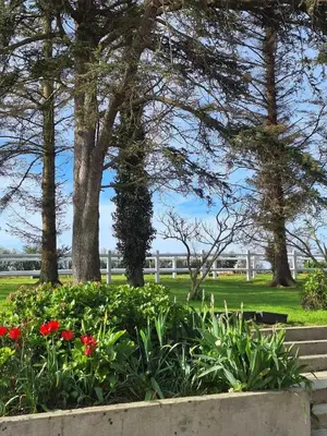 Jardin de l'établissement Appartement spacieux à Monfréville avec terrasse