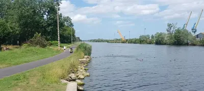 Vue sur la rivière ou le fleuve situé(e) à proximité de l'appartement