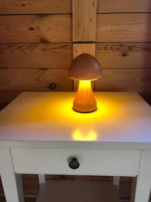 Plan de l'établissement Eco pod