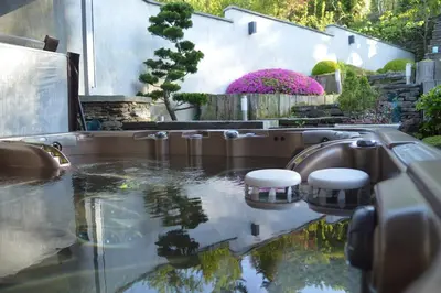 Jardin de l'établissement Maison Spa 10 pers - Jacuzzi Hammam - Mont St Michel
