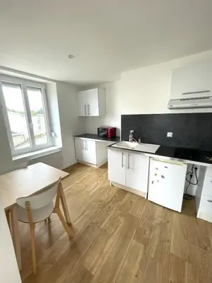Cuisine ou kitchenette dans l'établissement Studio