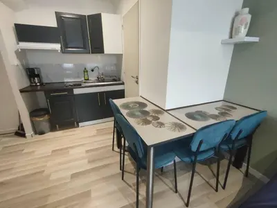 Cuisine ou kitchenette dans l'établissement Studio hyper centre