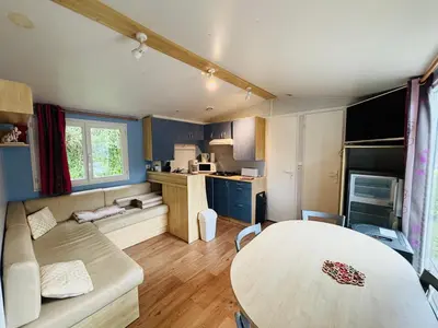Cuisine ou kitchenette dans l'établissement Mobilhome