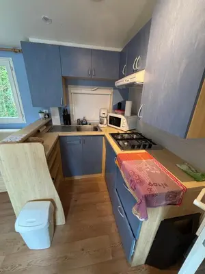 Cuisine ou kitchenette dans l'établissement Mobilhome