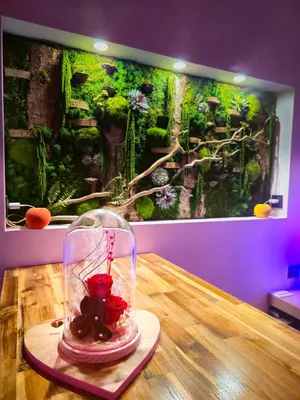 Nourriture dans l'appart'hôtel ou à proximité
