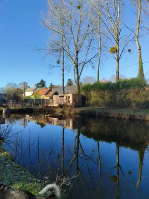 Paysage naturel près de le camping