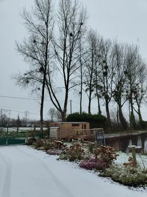 L'établissement Au silence des Peupliers en hiver