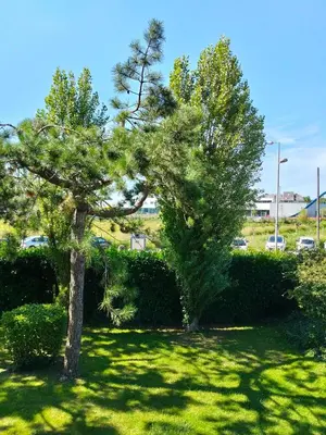 Jardin de l'établissement Calme et Cosy, T2 refait à neuf en Juillet 2025